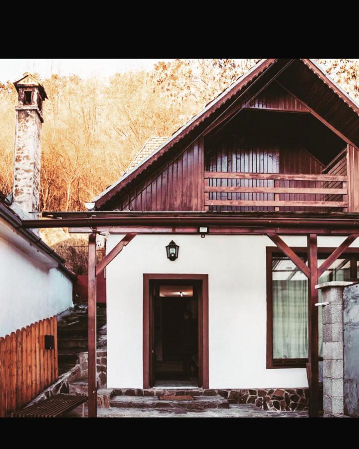 Sedra House Villa Sighisoara Luaran gambar